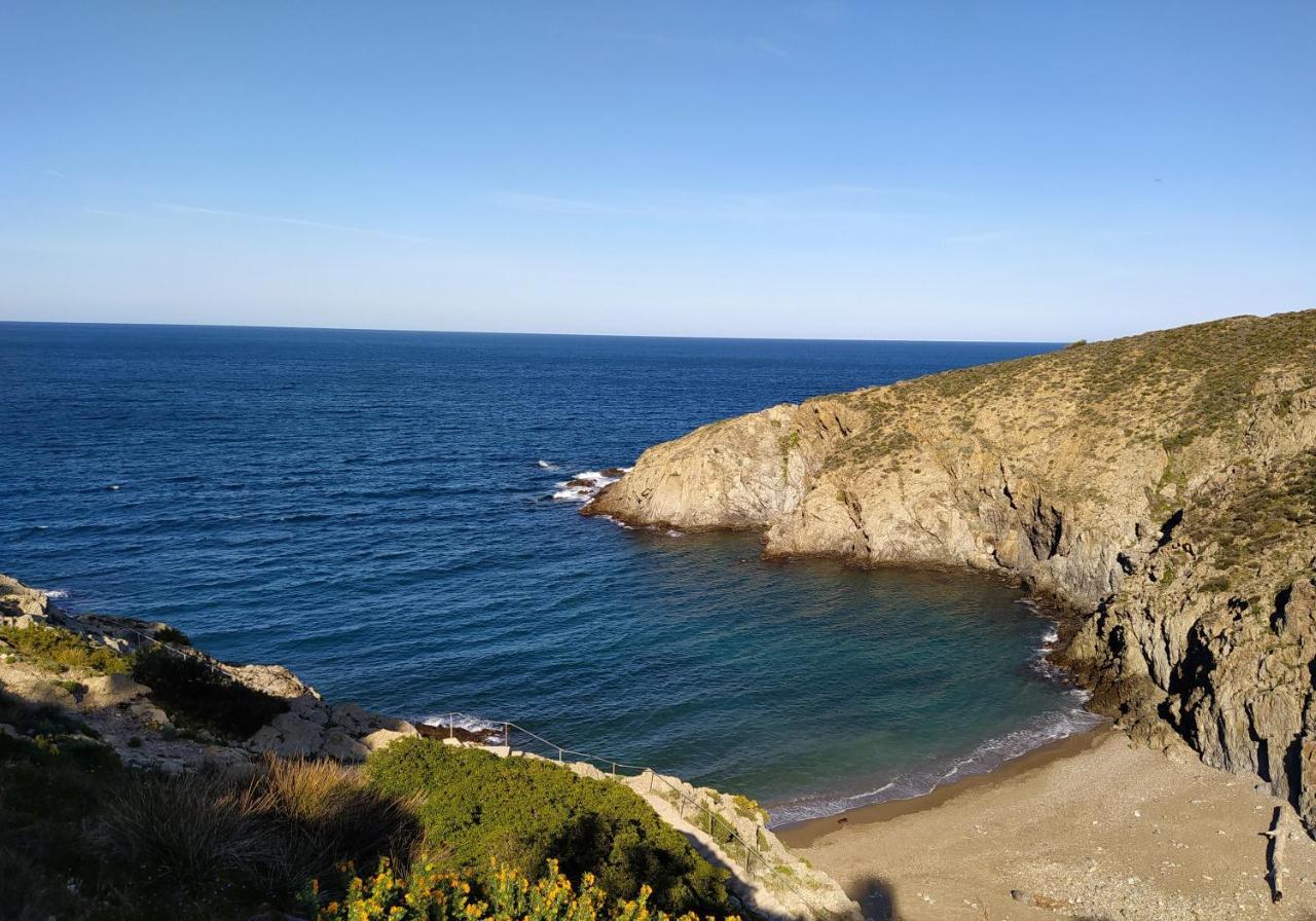 T 2 Tout Confort Avec Terrasse Vue Mer Et Montagne. بانيول سور مير المظهر الخارجي الصورة